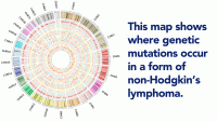 Genetic map of ALCL